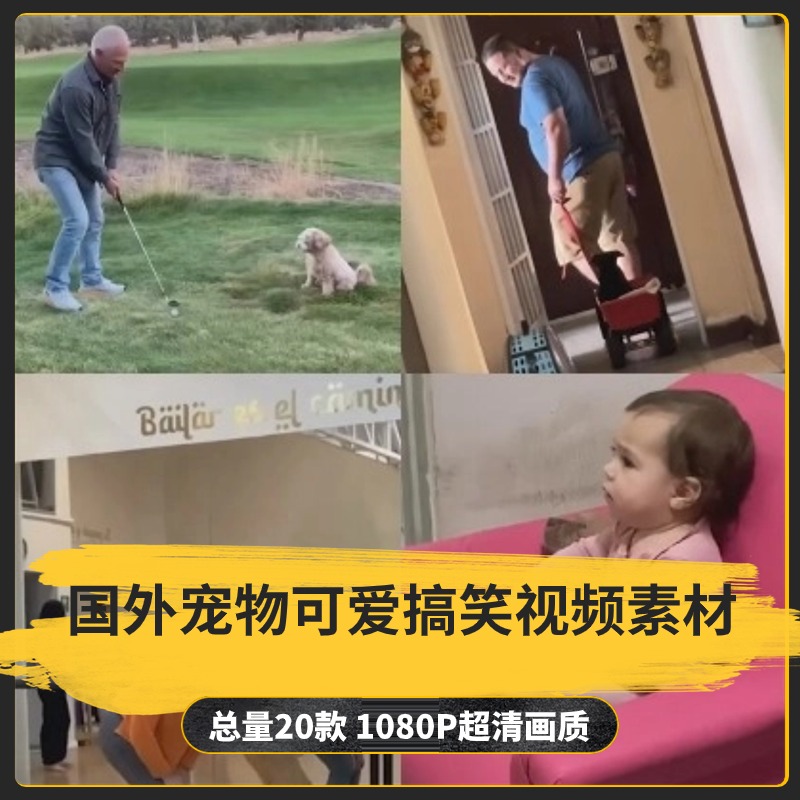 【20款】国外宠物可爱搞笑视频素材-捷亚素材网