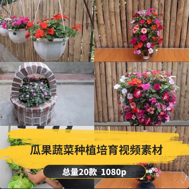 【20款】瓜果蔬菜种植培育解压视频素材-捷亚素材网