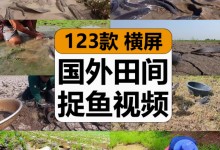 【123款】国外田间捉鱼乡村水沟捕鱼土里趣味抓鱼中视频计划解说减压解压视频素材-捷亚素材网