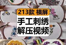 【213款】国外手艺人工刺绣花卉人物字母减压解压视频素材-捷亚素材网