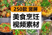 【250款】美食家常菜小吃烹饪制作做菜过程减压解压视频素材-捷亚素材网