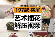 【197款】艺术插花教程鲜花瓶花篮花束养花减圧解压视频素材-捷亚素材网